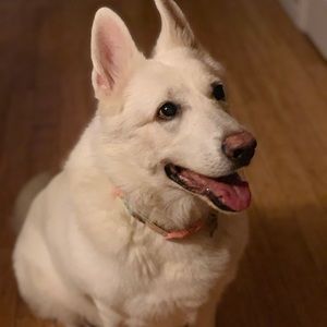 Meet your Posher, Serena